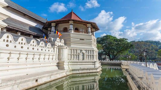 Kandy City Tour from Colombo Seaport